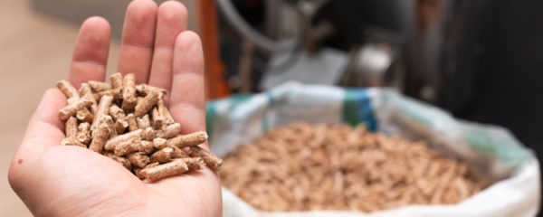 pellets de bois